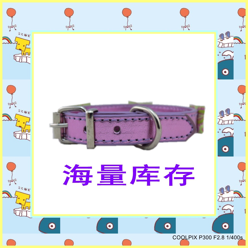 DSCN0774_conew1