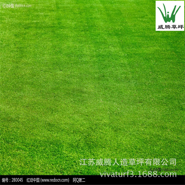 Redocn_2010092615305646[1]