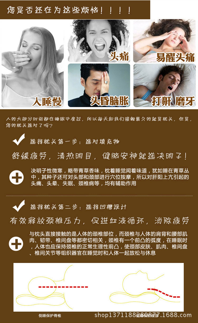 决明子四角磁疗保健枕1