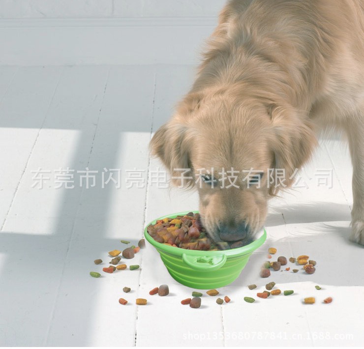 矽膠寵物狗碗 (10)