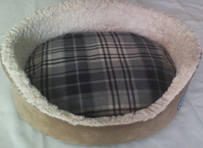 oval00010