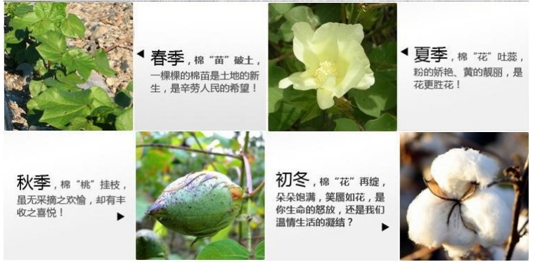 搜狗截圖13年08月06日1247_2