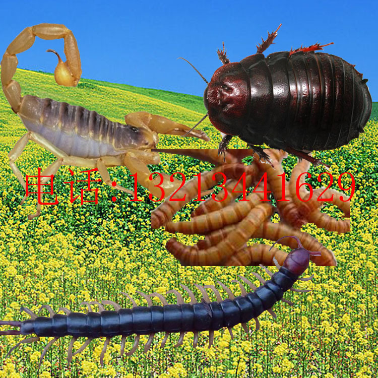 05