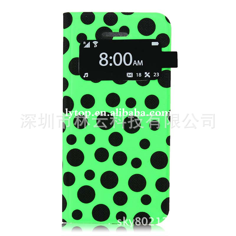IP5-L116 (5)
