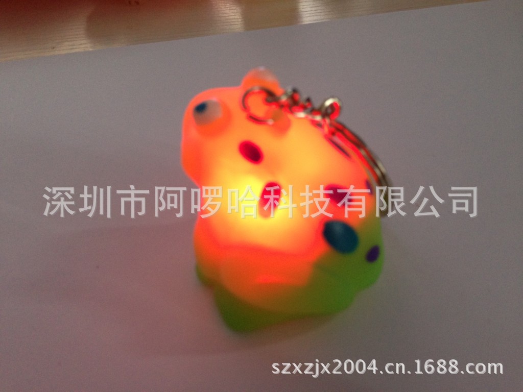 conew_130625 (360)