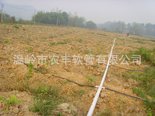 2010092056231581