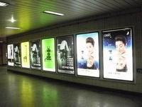 u=3038527768,3241392684&fm=21&