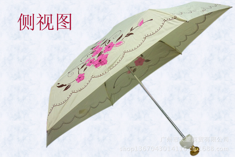 侧视