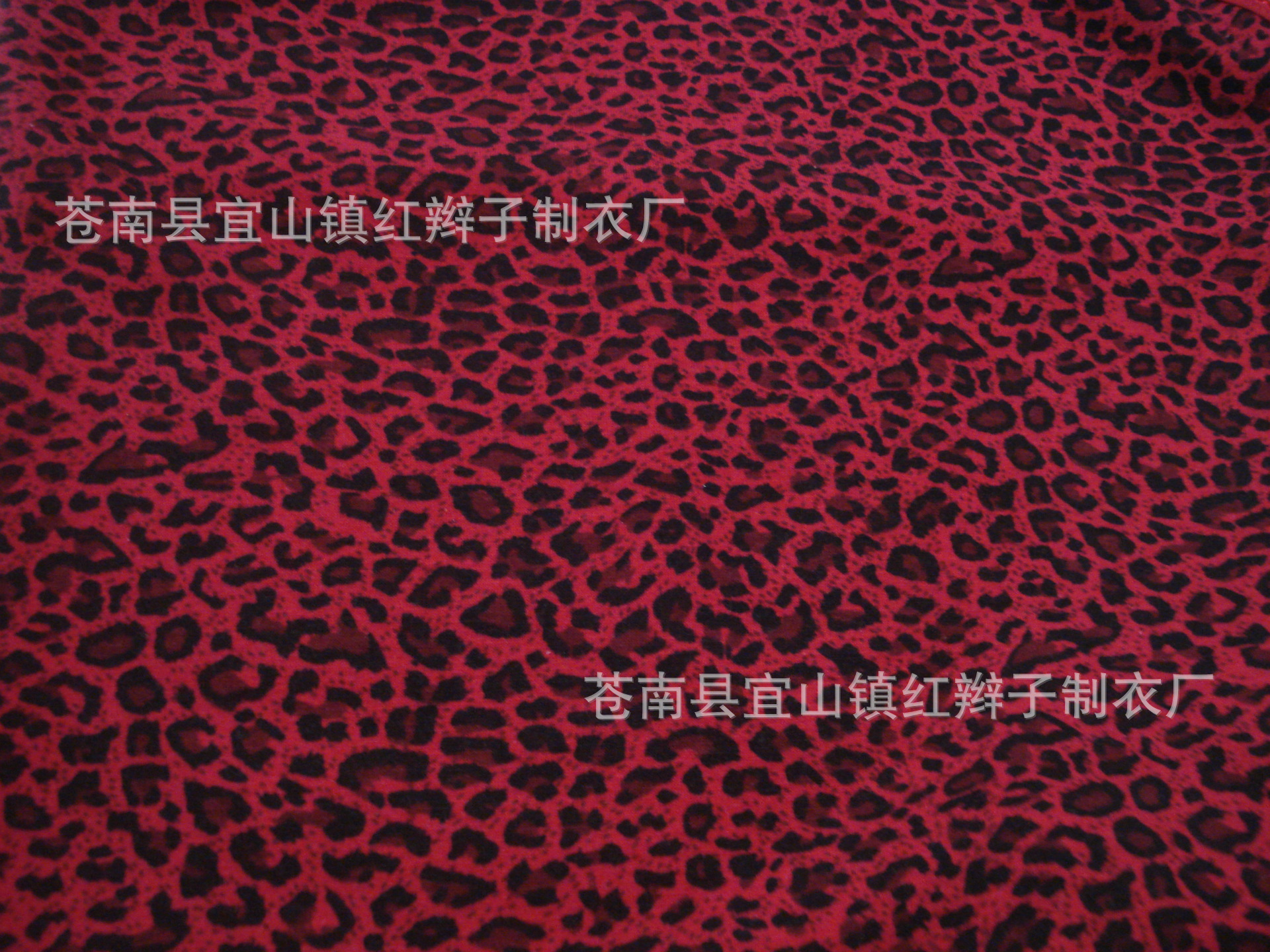 DSC05435