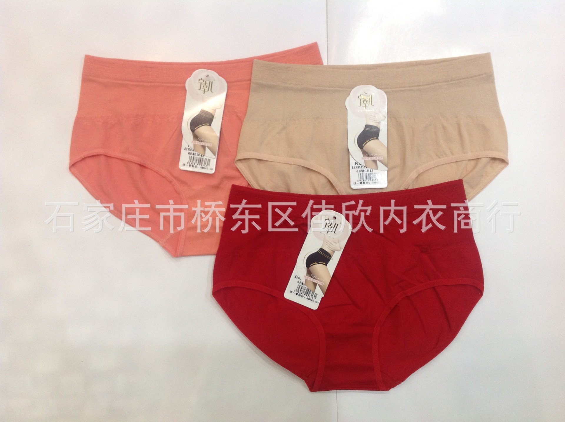 照片 024