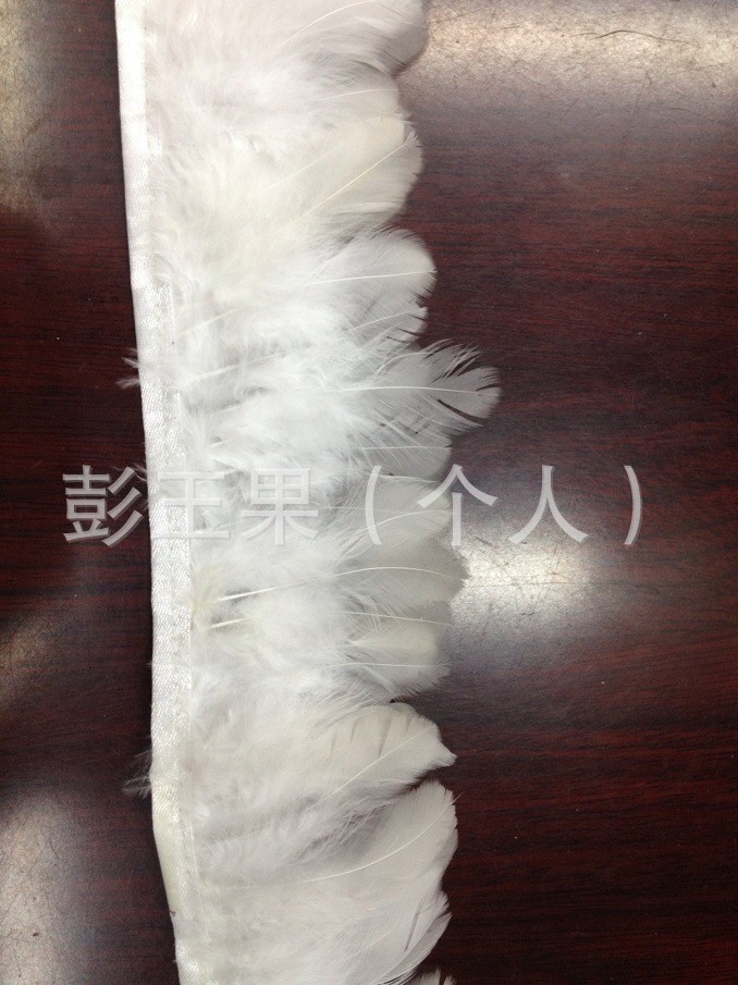 婆毛