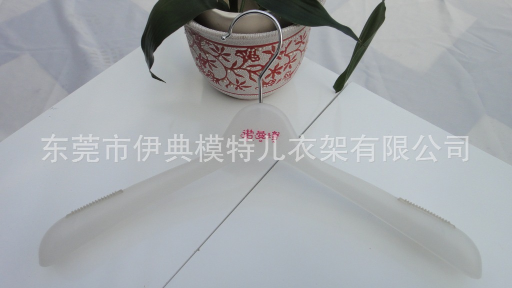 DSC01876