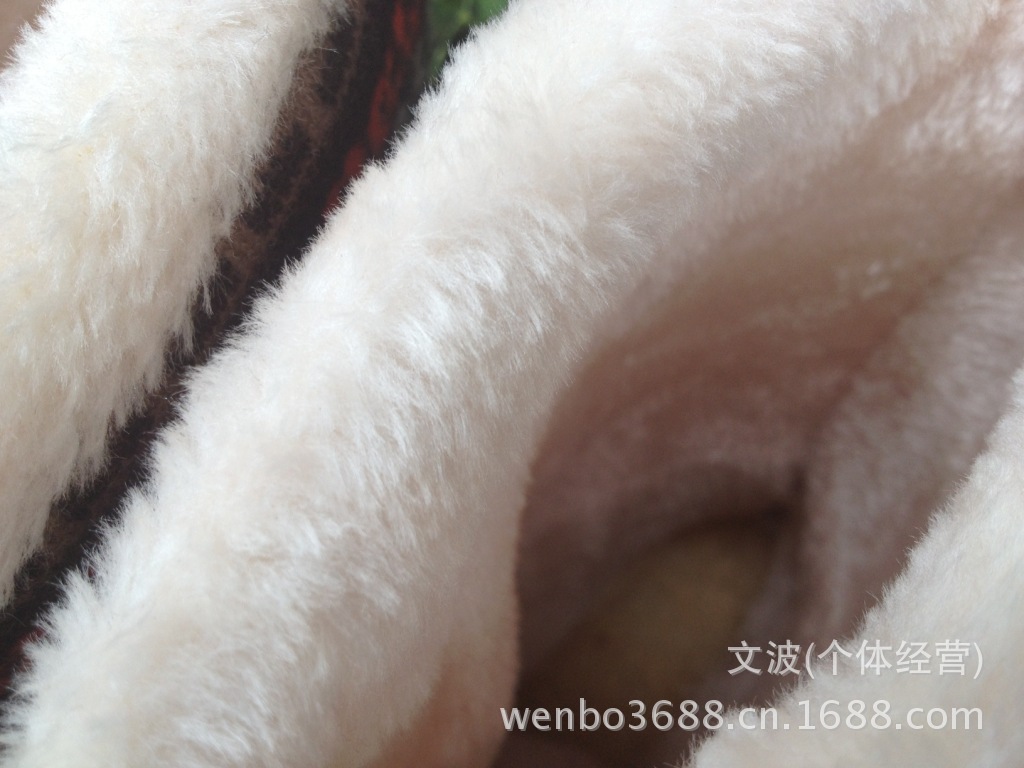 照片 078