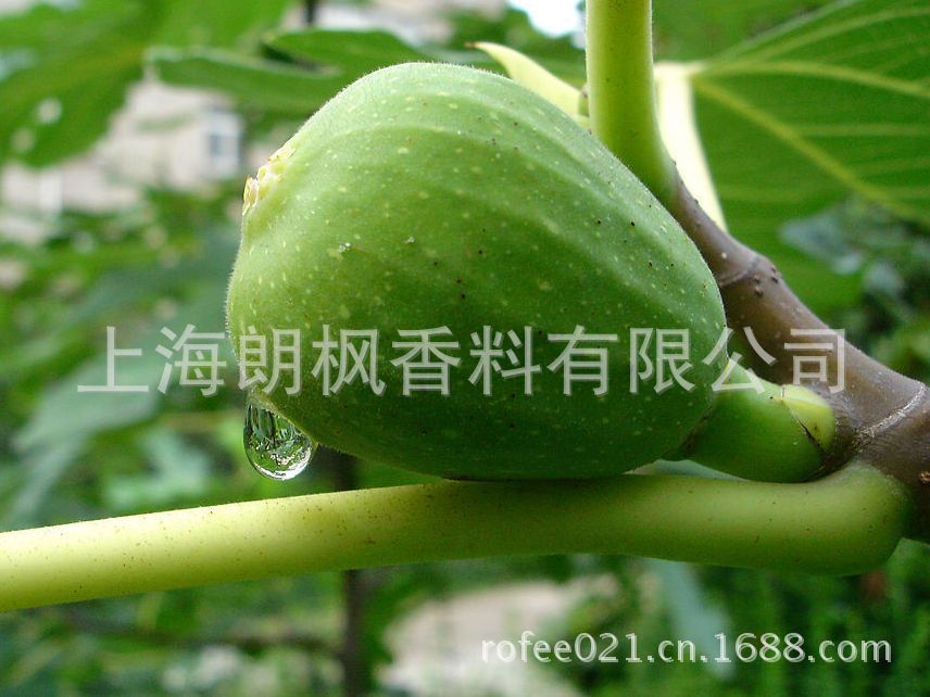 无花?