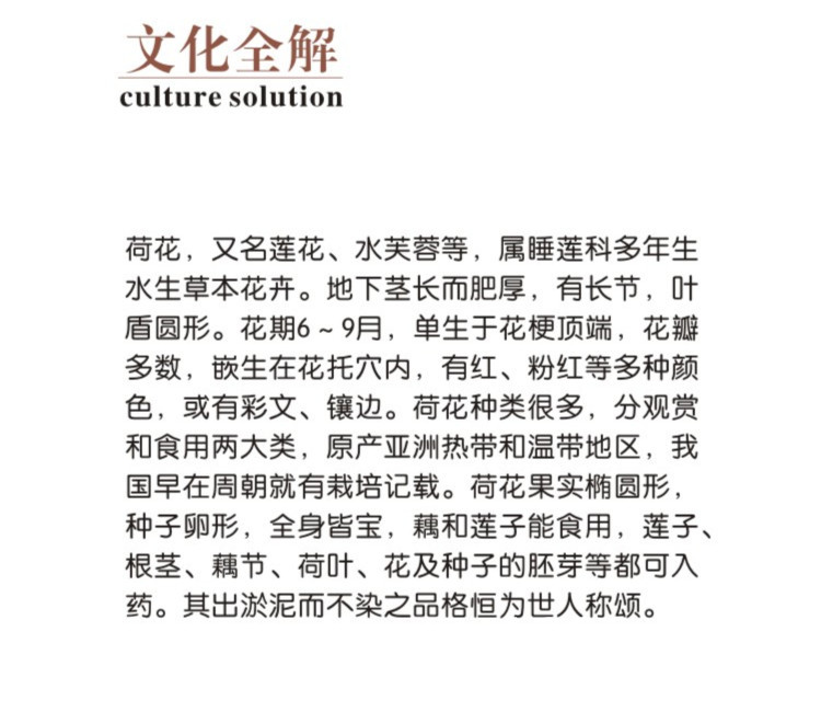 41詳情2