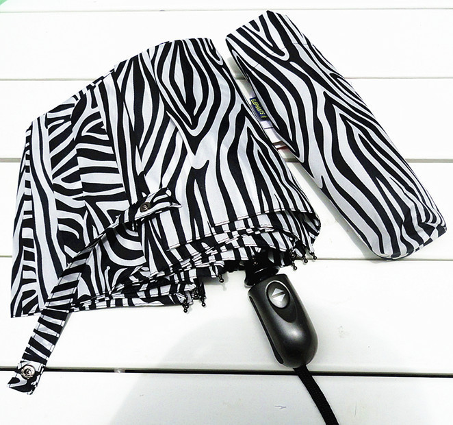 9cbda251548fddecfec90d9ec998_6