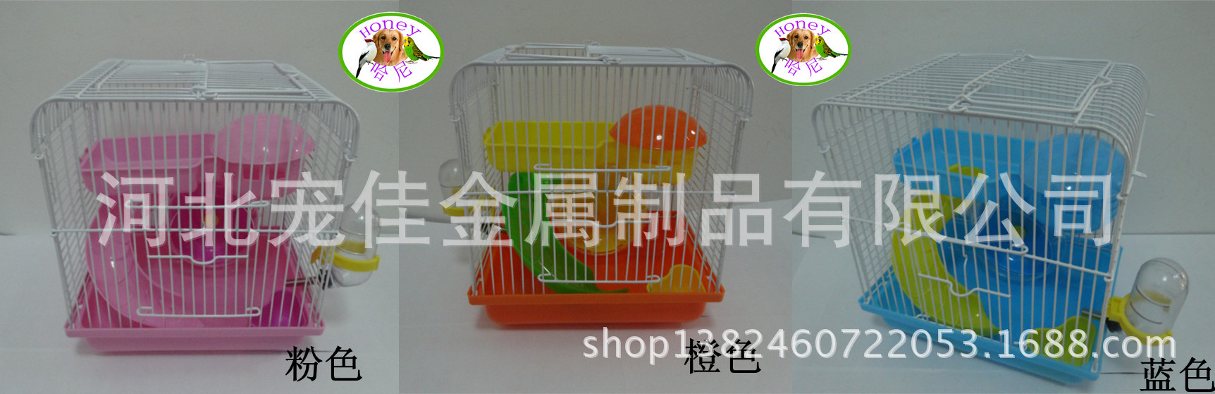 DSC02922_副本_副本2