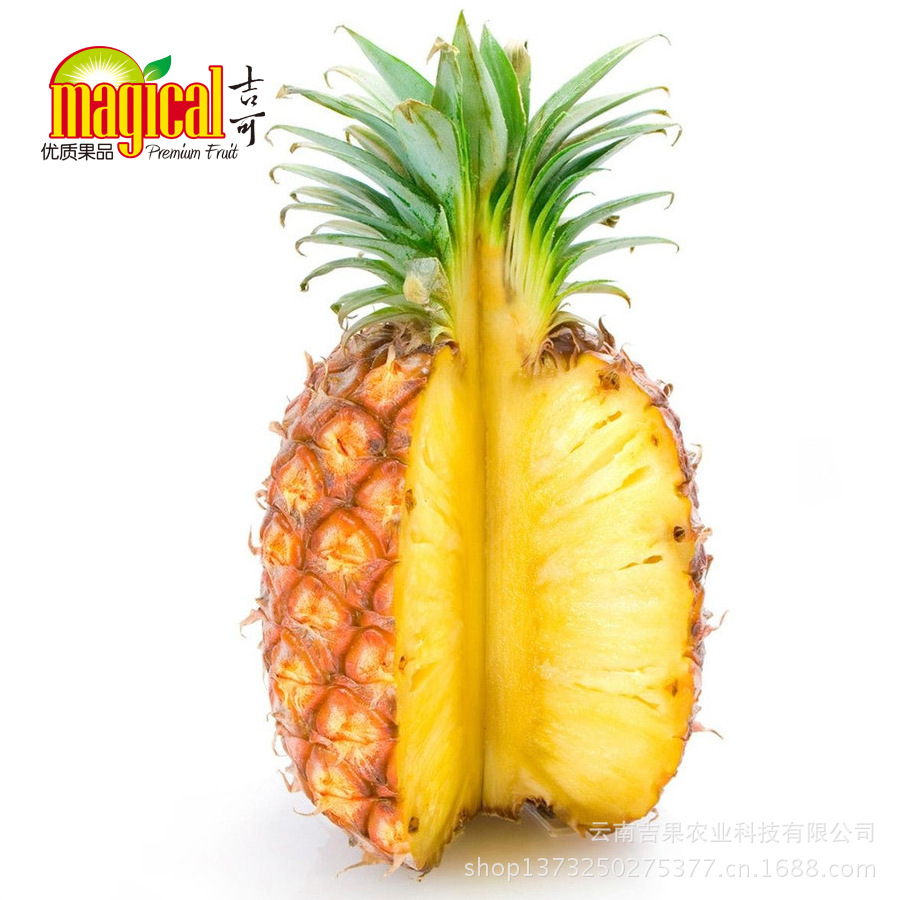菠萝5