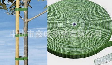 彩色勾配普通佈