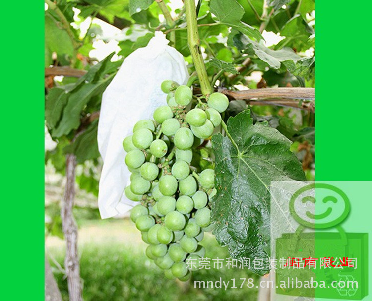 T27OfHXk8aXXXXXXXX_!!158456929