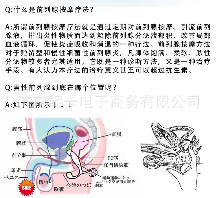 奇爾描述9