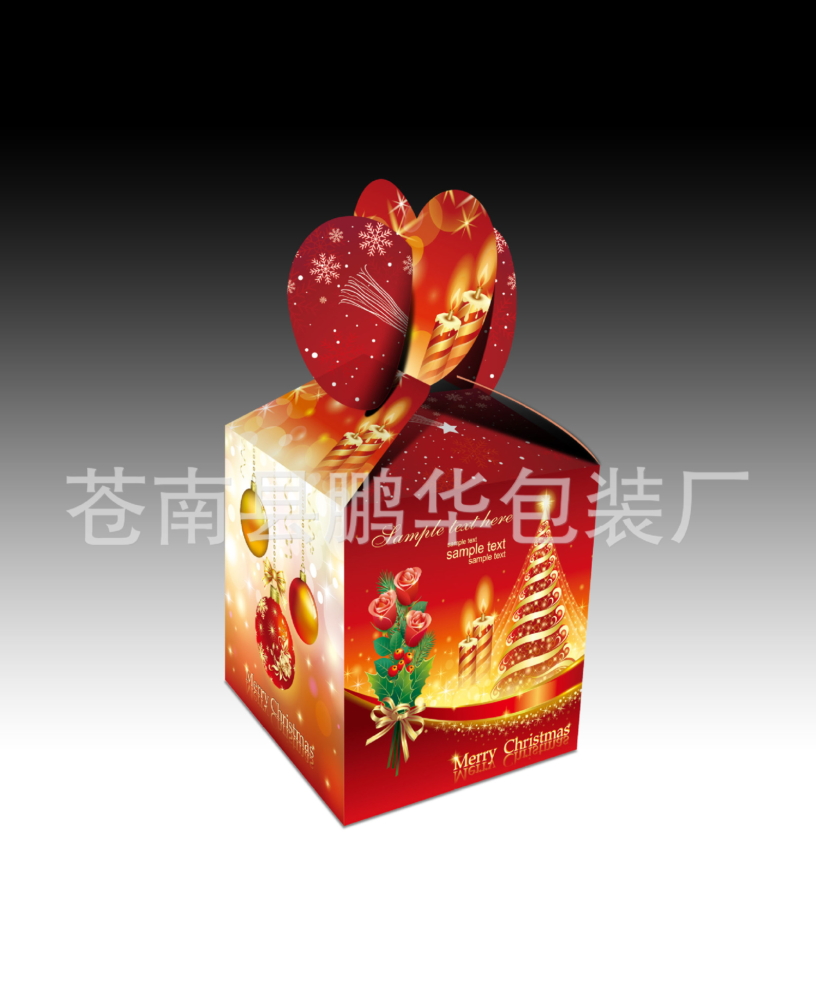 立體效果圖
