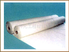 224326981_1808384198[4]