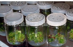 QQ图片20130810061213