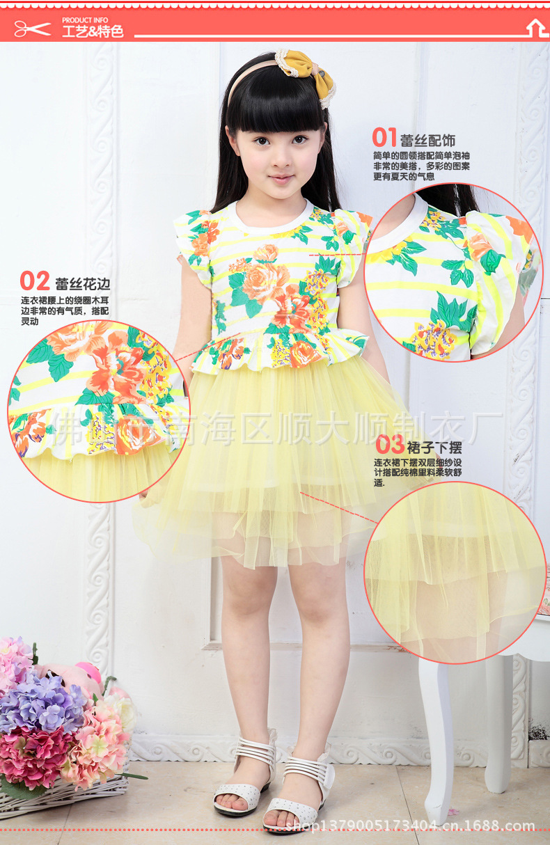 SDS2014SS002 (5)
