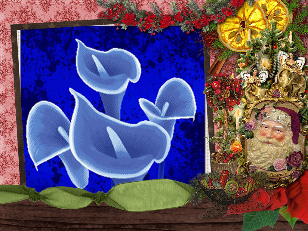 10026 蓝色妖姬效果图_副本