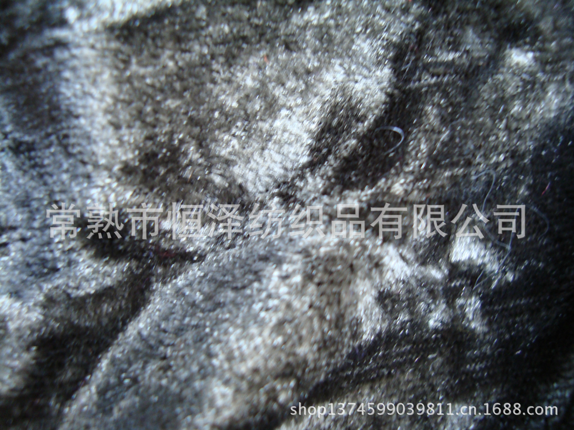 DSC00598