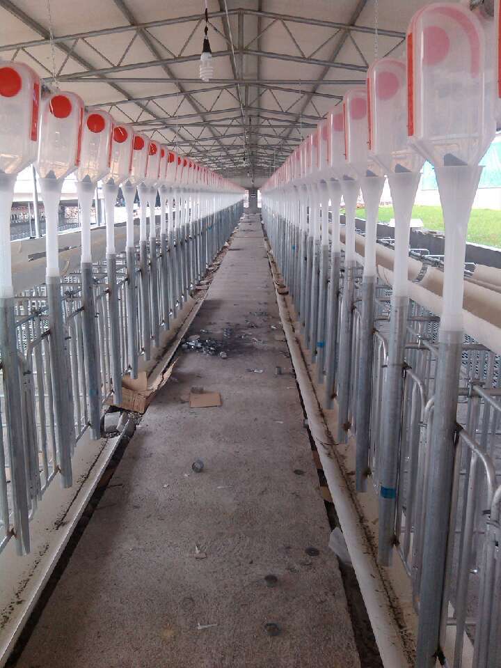 G2DHISV0B6364EUCRQ[B%TW