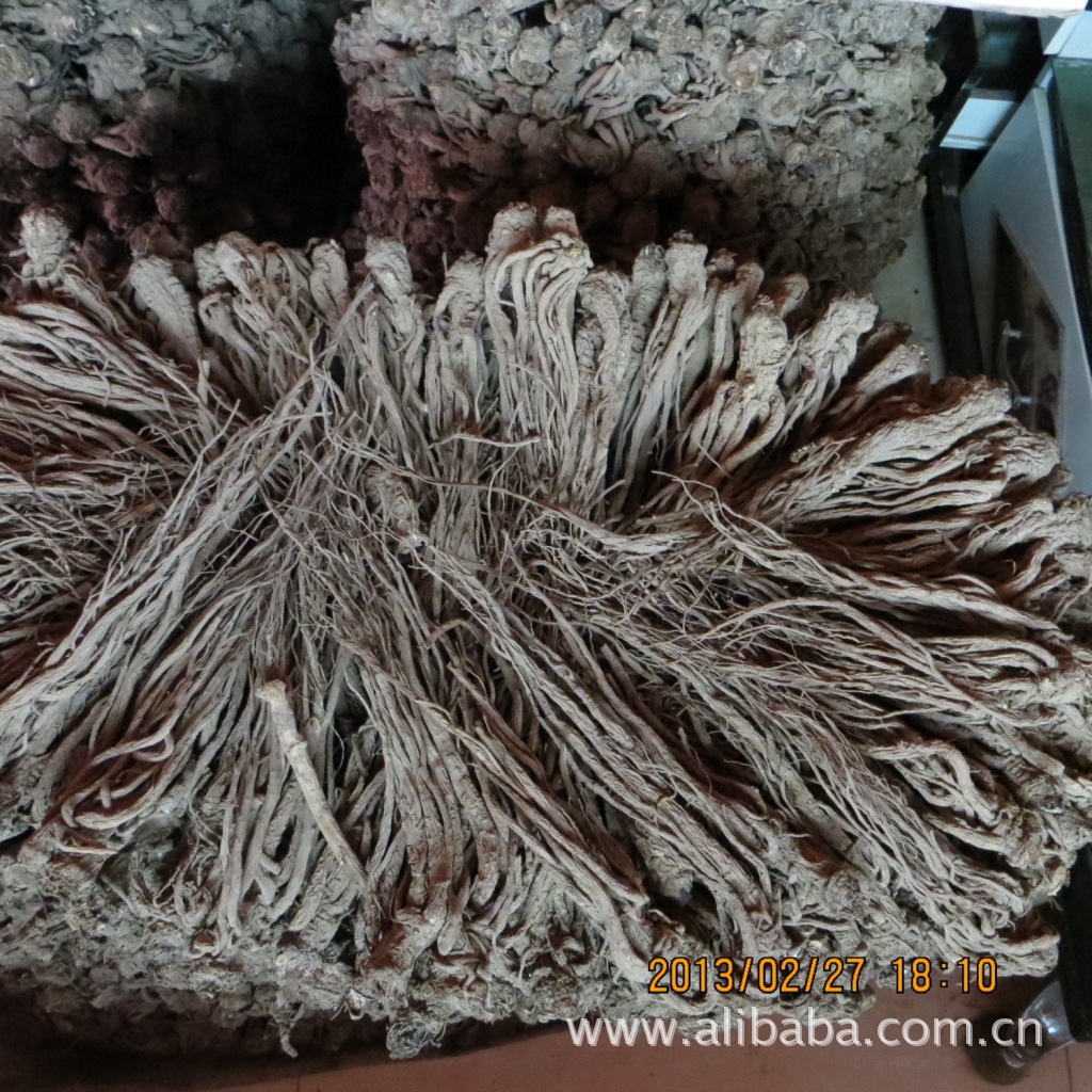 黄芪 营业执照 009