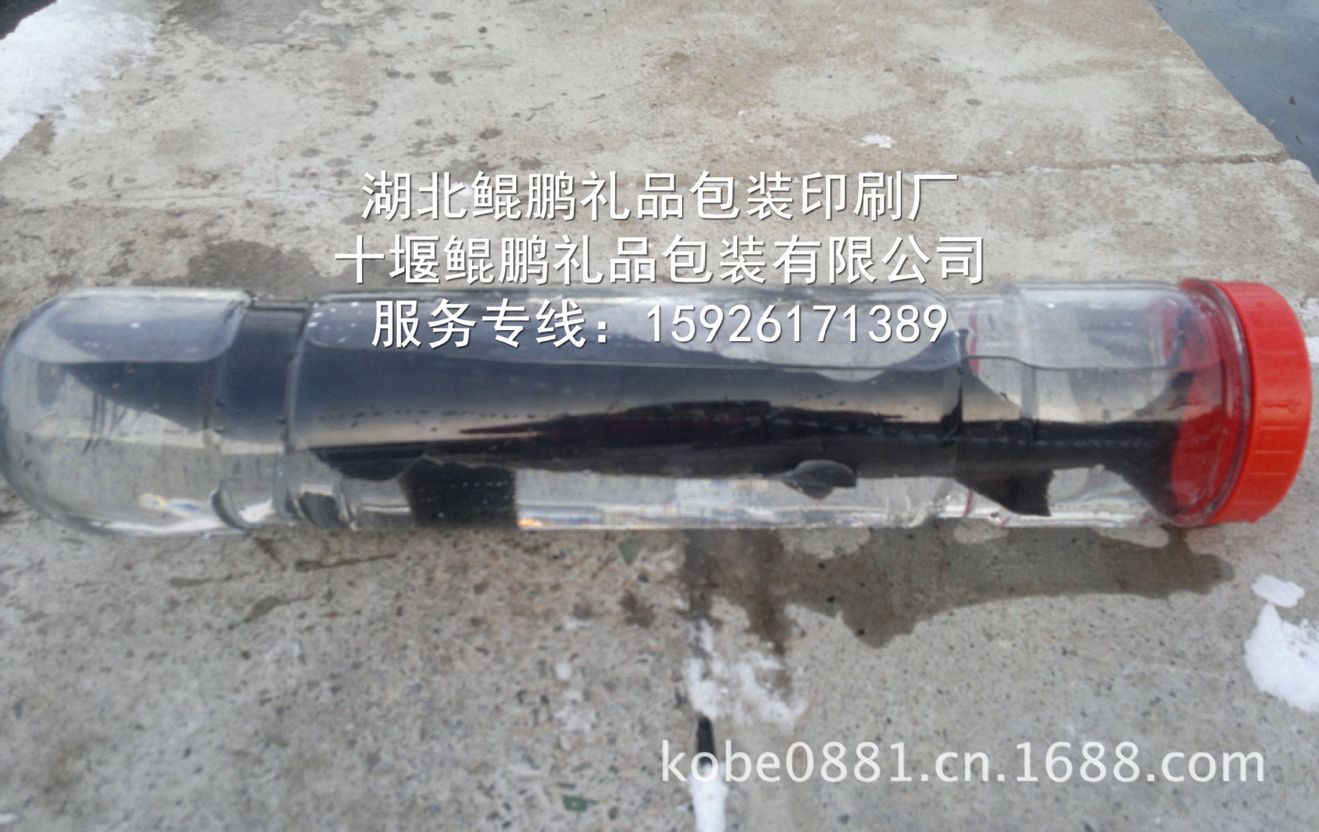 特产礼盒-鲟龙鱼2活鱼礼品包装筒