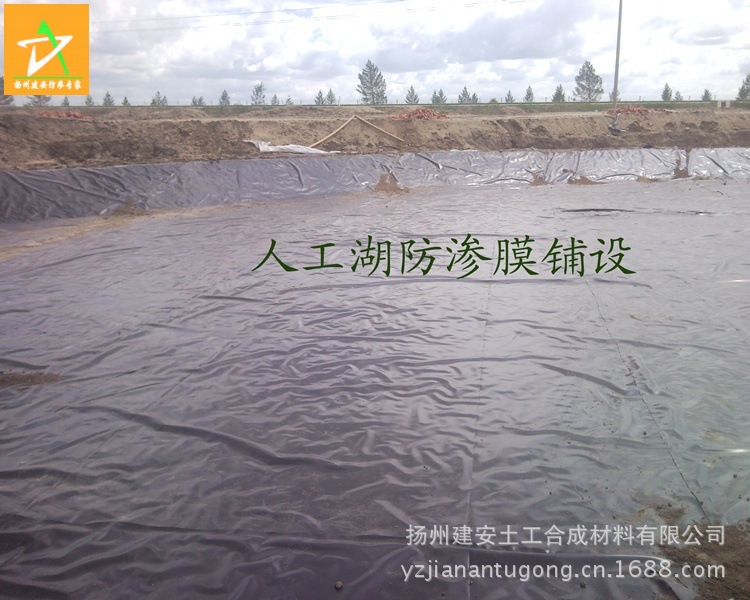 SNC00427副本-004_conew1