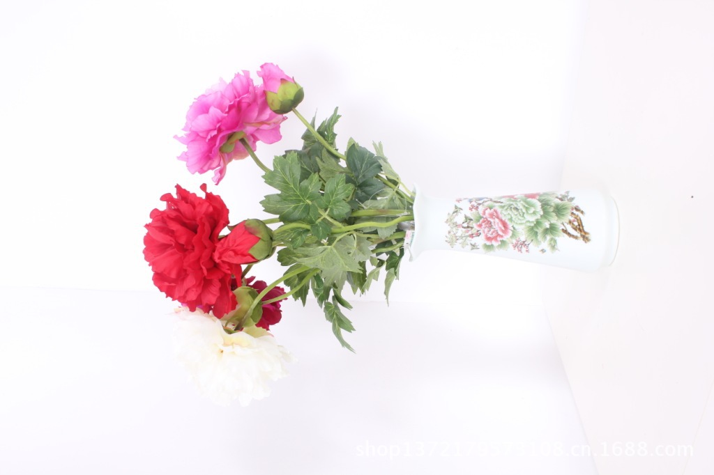 两头牡丹(2-Head Peony)SJB1248