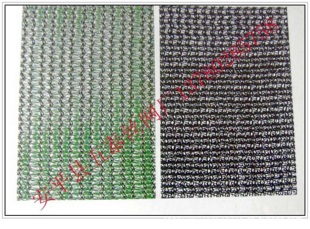 conew_013000008405301274859040