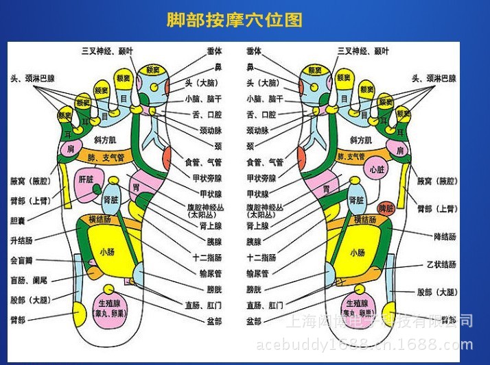 上海货源厂家直销艾斯巴迪美足仪气压加热滚轮自动足底按摩器