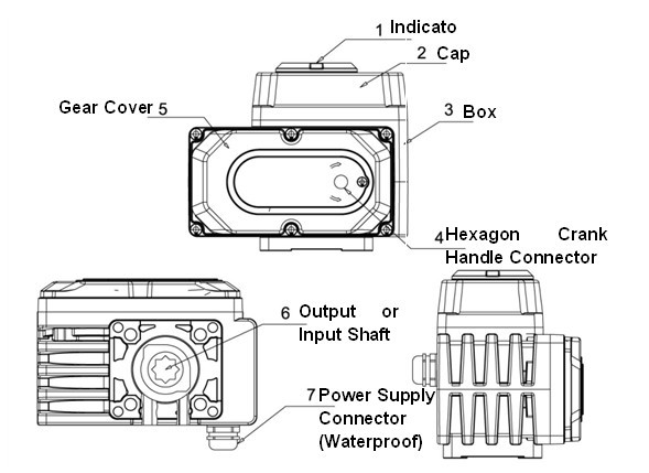 female actuator structure