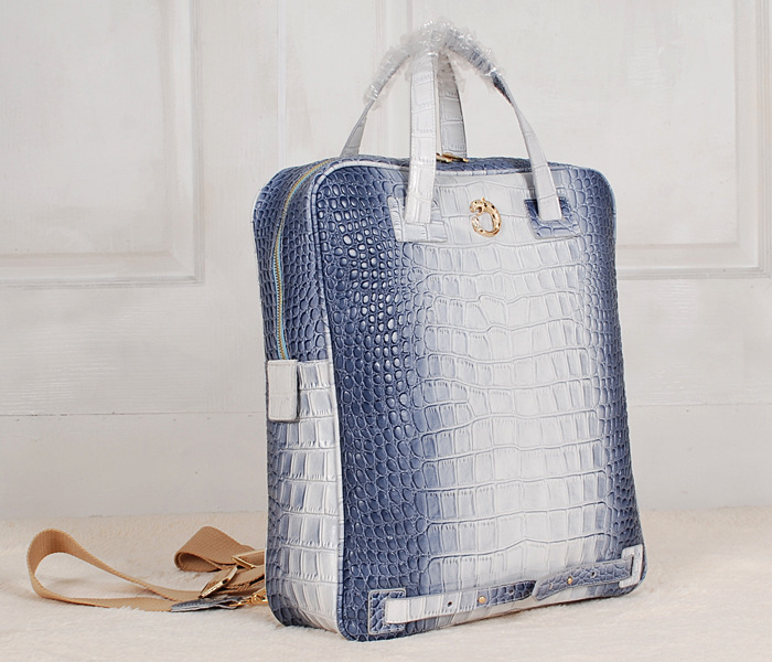 10005959淺灰金 (3)