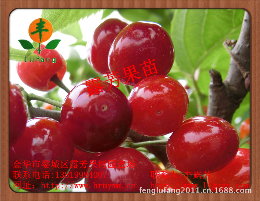 CIMG006_副本_副本