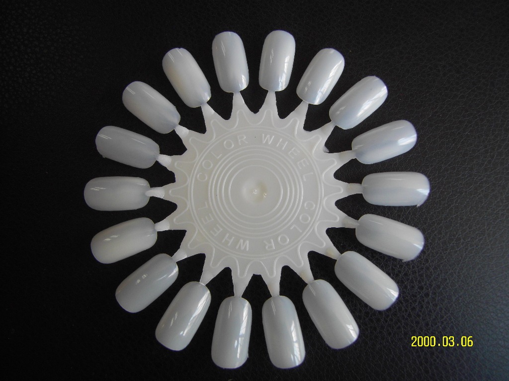 SDC10040