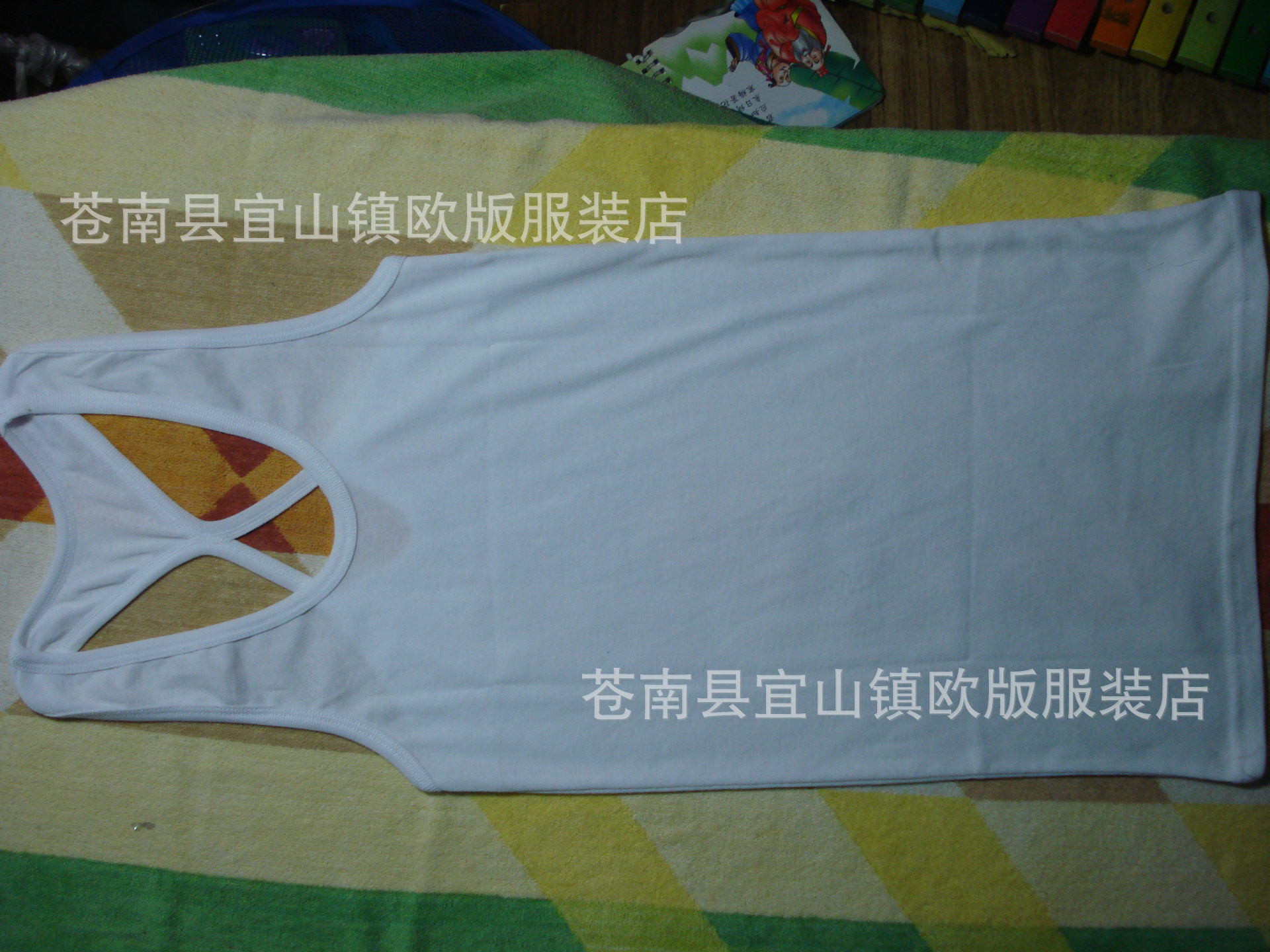 DSC01339