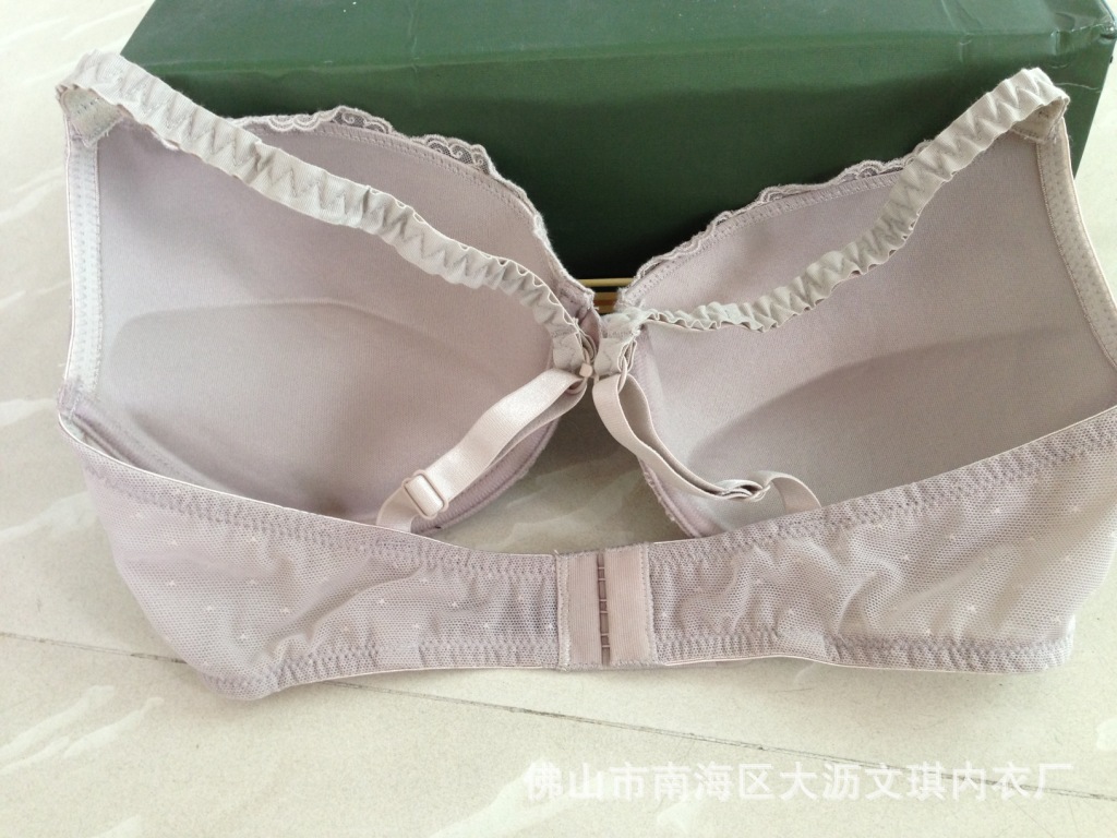 照片 527