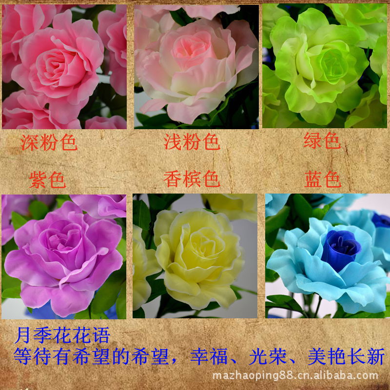 12头芙蓉玫瑰461542