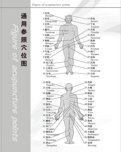 穴位圖