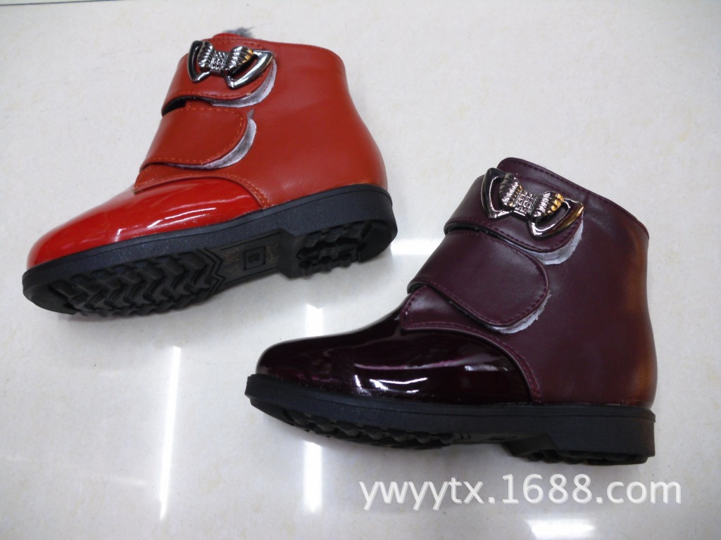 DSCI1456
