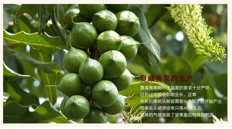 休闲食品夏威夷果