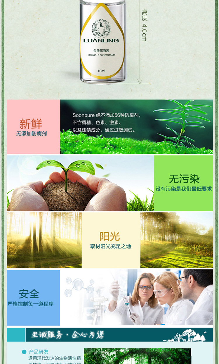 金盏花原液_03