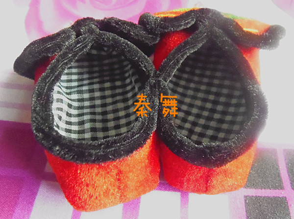 PA041029_副本